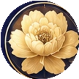 富贵恩典 NV Grace icon