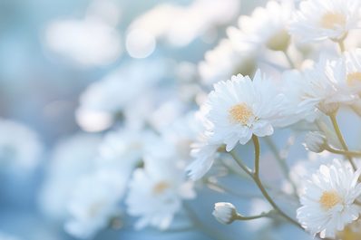 AdobeStock_642054147 AdobeStock_642054147